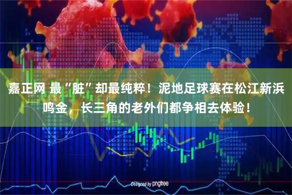 嘉正网 最“脏”却最纯粹！泥地足球赛在松江新浜鸣金，长三角的老外们都争相去体验！