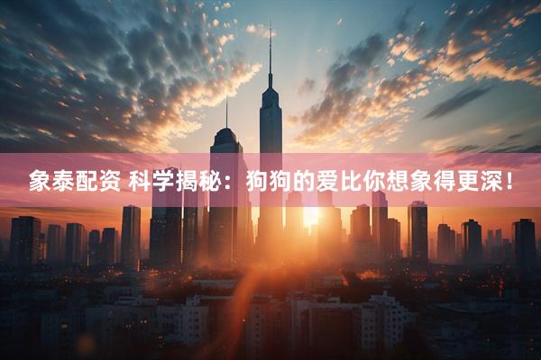 象泰配资 科学揭秘：狗狗的爱比你想象得更深！