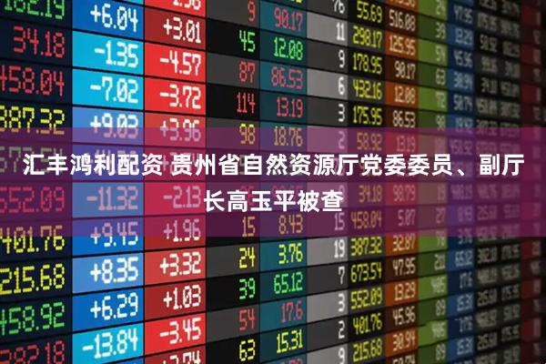 汇丰鸿利配资 贵州省自然资源厅党委委员、副厅长高玉平被查