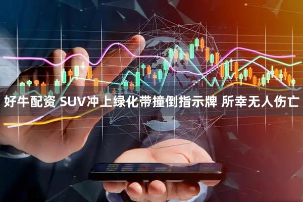 好牛配资 SUV冲上绿化带撞倒指示牌 所幸无人伤亡