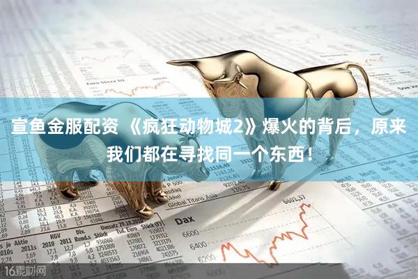 宣鱼金服配资 《疯狂动物城2》爆火的背后，原来我们都在寻找同一个东西！