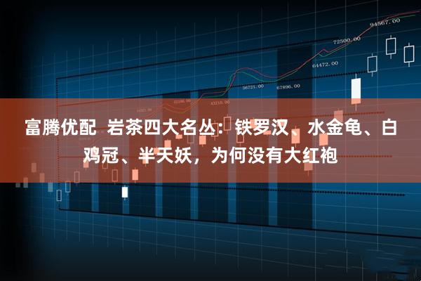 富腾优配  岩茶四大名丛：铁罗汉、水金龟、白鸡冠、半天妖，为何没有大红袍