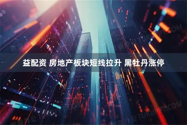 益配资 房地产板块短线拉升 黑牡丹涨停