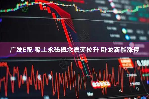 广发E配 稀土永磁概念震荡拉升 卧龙新能涨停